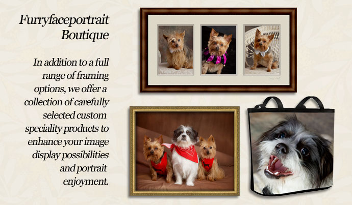 furryface pet portraits opening slideshow