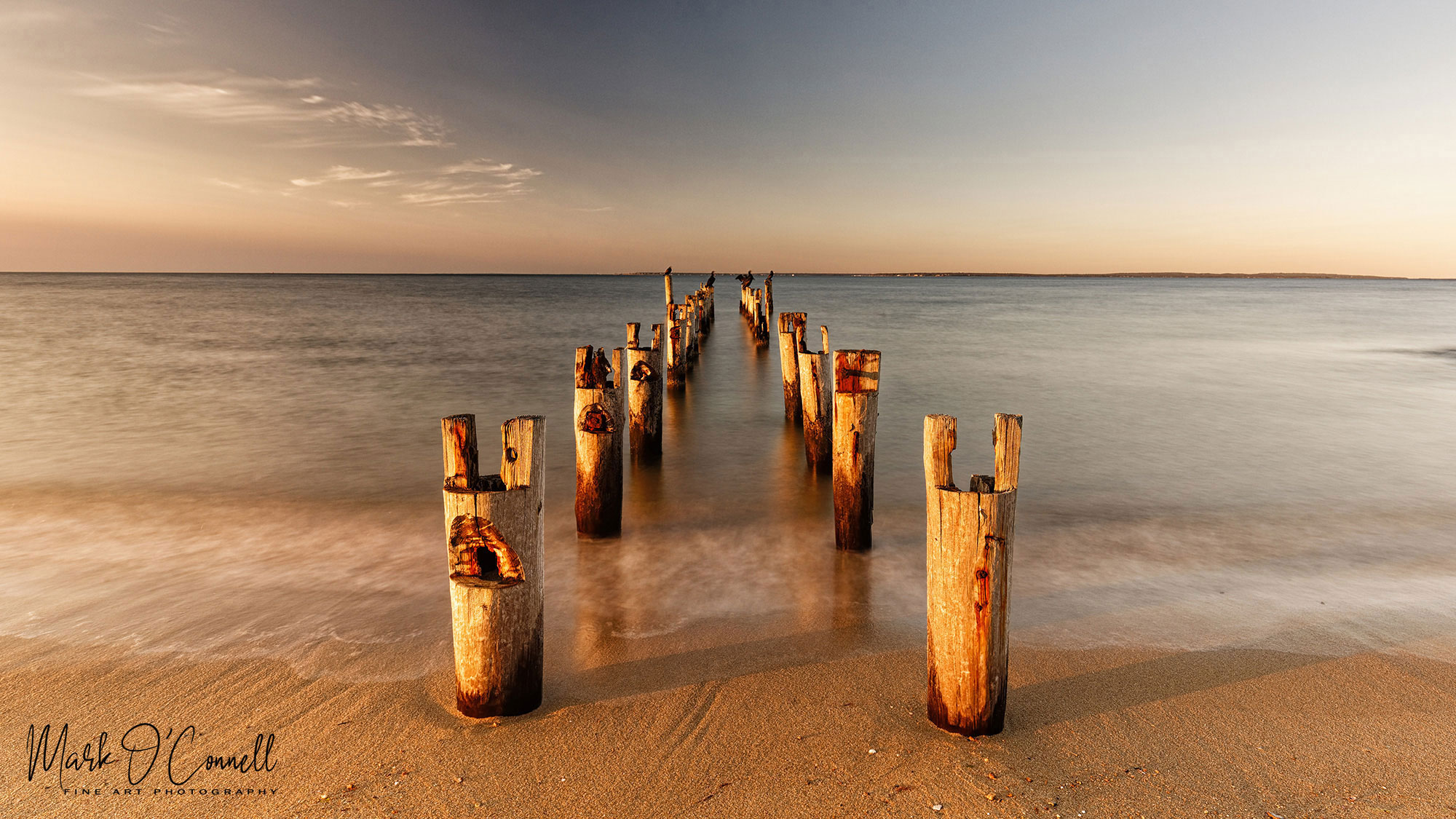 Sentinels of the Sea - Bristol Beach, Falmouth, MA