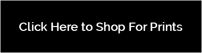 Shop for Fine Art Prints